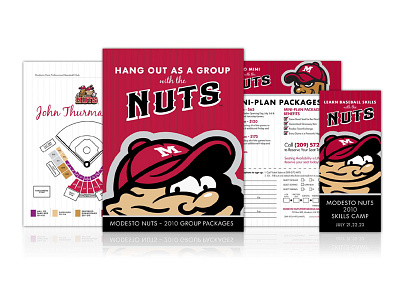 Modesto Nuts Professional Baseball Club baseball fundraising hollingsworth league minor mlb modesto nuts