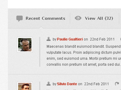 Blog comments for Swatch WordPress theme blog comments psd template wordpress theme