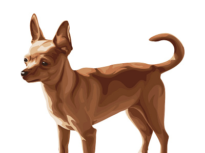 Векторная иллюстрация собаки породы чихуахуа. chihuahua vector dog illustration graphic design illustration vector векторнаяиллюстрация иллюстрацияввекторе