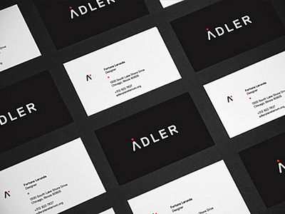 Adler Planetarium Rebrand brand brand strategy branding business card identity design identity system poster print rebrand signage visual identity
