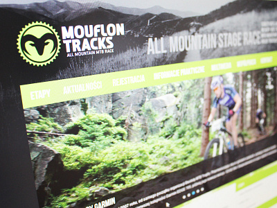 Mouflon tracks