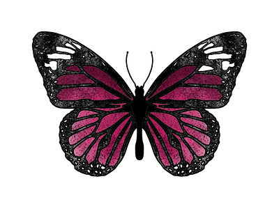 Butterfly illustration animal art animal illustration butterfly butterfly logo butterfly sketch design digital art digital painting graphics illustration pink butterfly procreate