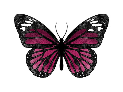 Butterfly illustration