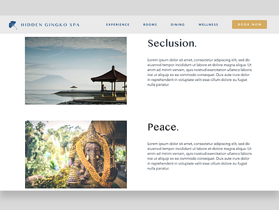 Hidden Gingko Spa - 2 avenir bali branding calm health peaceful retreat spa ui ui ux ui design uidesign uiux web web design webdesign website website design