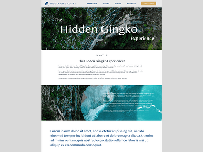 Hidden Gingko Spa - Experience page