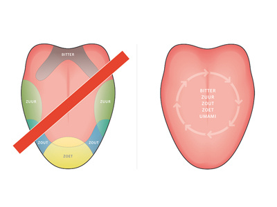 infographic illustration