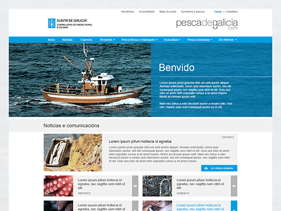 Pesca de Galicia: Fisheries Web fish fisheries flat galicia pesca web web desing