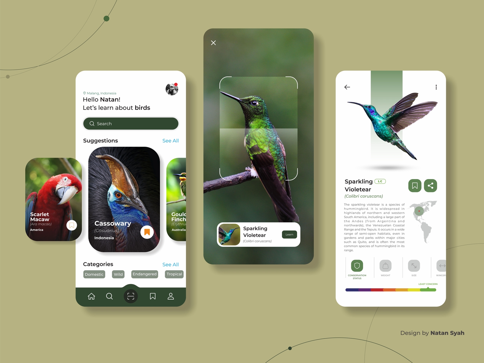 Discovering Birds App by Denatan Bagus Firman Syah on Dribbble