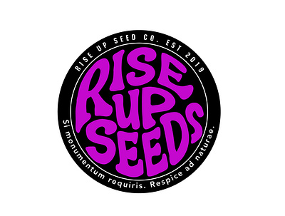 Rise Up Seeds clientwork custom lettering handlettering lettering logo logo designer logodesign logotype procreate typography