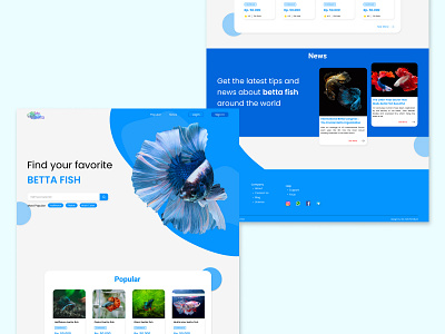 Landing Page of Betta Fish Web landing page markerplace design ui ui design web design
