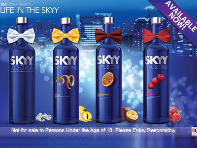 Skyy Vodka advertising brochure design design events illustration publicity