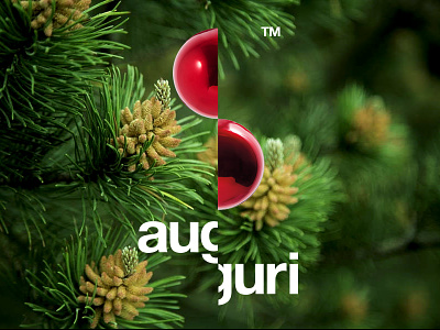 Auguri auguri best wishes branding christmas happy holidays illustration logo photoshop wish