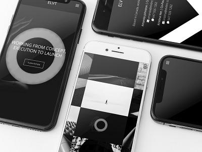 EVLT | Website Design & Development | Mobile view design typography ux website design website development