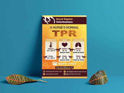 Horse temperature pules respiration I Flyer Design abstract abstract design ads design adverts app brand design branding brochure template data design food flyer portfolio logo postcard project proffessional logo software vector