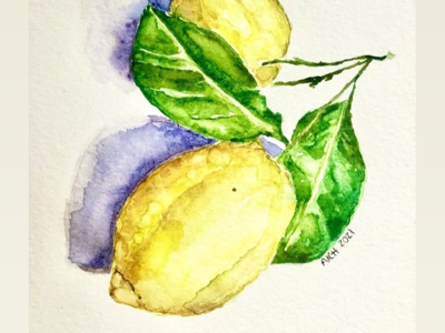 Lemon Study fine art illustration watercolor watercolor painting