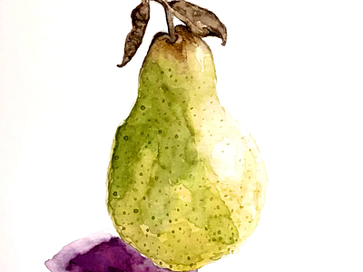 Pear study 2 illustration painting watercolor watercolor painting