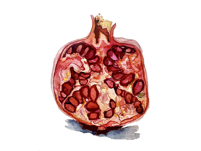 Pomegranate Watercolor Study adora horton food illustration illustration pomegranate watercolor art watercolor painting