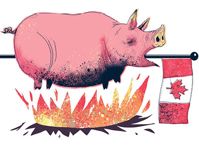 BBQ! animal colour concept graphic illustration