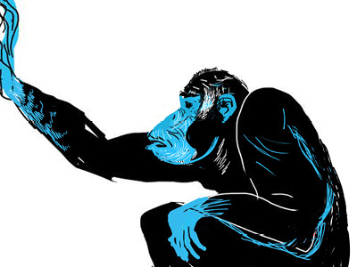 Chimp animal chimp colour drawing graphic illustration monkey