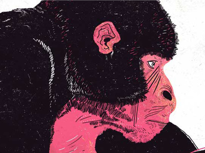 The Pink Gorilla animal chimp colour drawing graphic illustration monkey