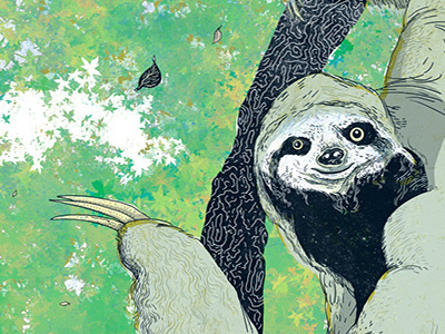 Sloth animal digital dushan milic illustration pen ink