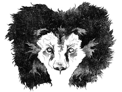 Lion WIP animal black white concept digital drawing illustration ink lion photoshop