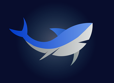 shark illustration shark vector