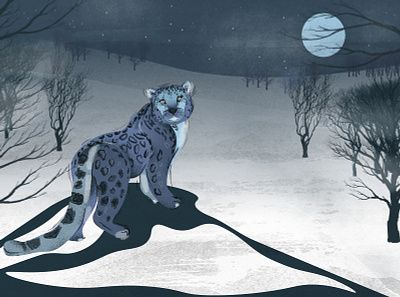 Snow Leopard art artwork digitalart digitaldrawing illustration illustrationart snow snowleopard vector vectorart vectorartwork vectorillustration