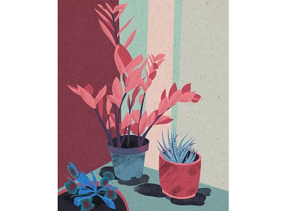 Plants adobeillustator art artwork digitalart digitaldrawing illustration illustrationart plants vector vectorart vectorartwork vectorillustration