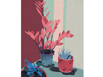 Plants