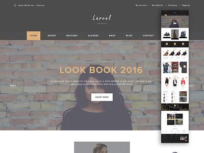 Larvel design ecommerce larvel ui web