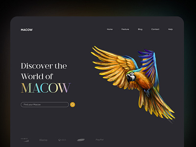 Macow Landing Page animal birds convrtx dark design dribbble illustration landing page minimal modern pets typography ui uiux unique ux versatile web web design website