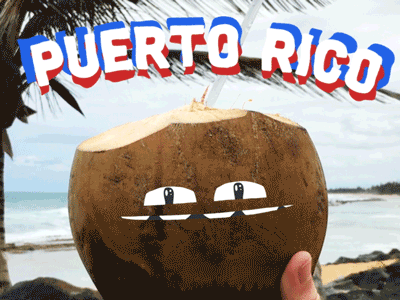 (un)States GIF 26.5 - Puerto Rico! caribbean coconut face good vibes island palm trees puerto rico smile united states