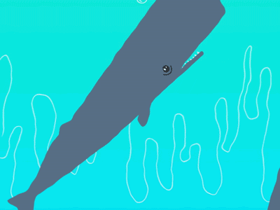 whale gif tumblr