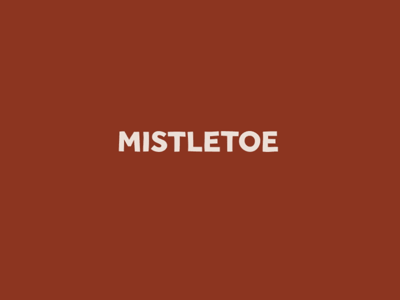 Word GIF #11 - Mistletoe! cheer christmas feet happy holiday jolly joy kiss love mistletoe toes