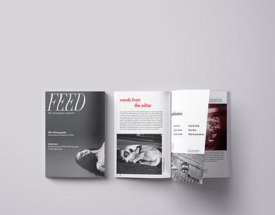 FEED: Film Photography Magazine design logo publication design typography