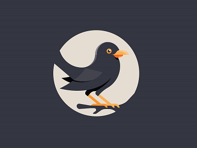 Blackbird bird blackbird illustration