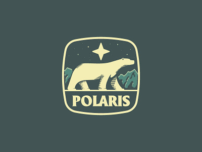 Polaris bear brand logo mark polar polar bear star