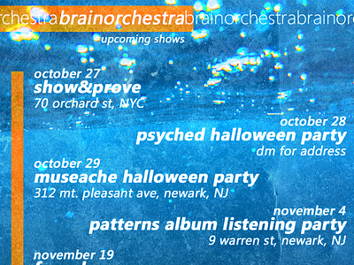 brainorchestra Shows Flyer