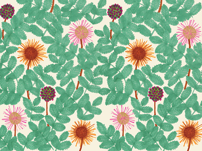 Thistles and Wildflowers Patterns