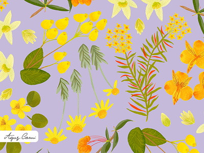 Springtime wildflowers pattern botanical illustration cosmetics handmade illustration nature organic packaging packaging design pattern design repeat pattern surface pattern designer textile design