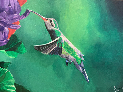 hummingbird