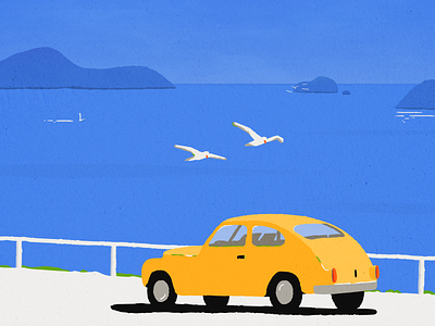 June. Calm ocean, crazy birds. birds car design illustration illustrator ocean