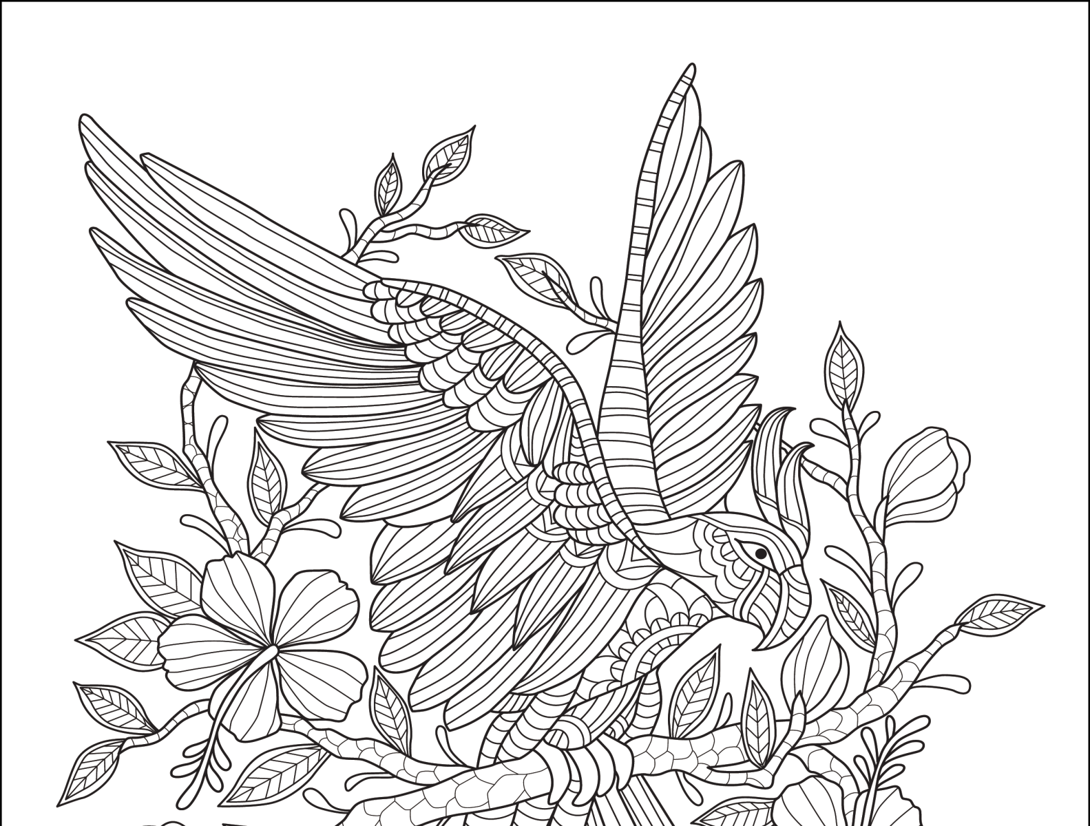 Birds Coloring book pages by dr anarul islam on Dribbble