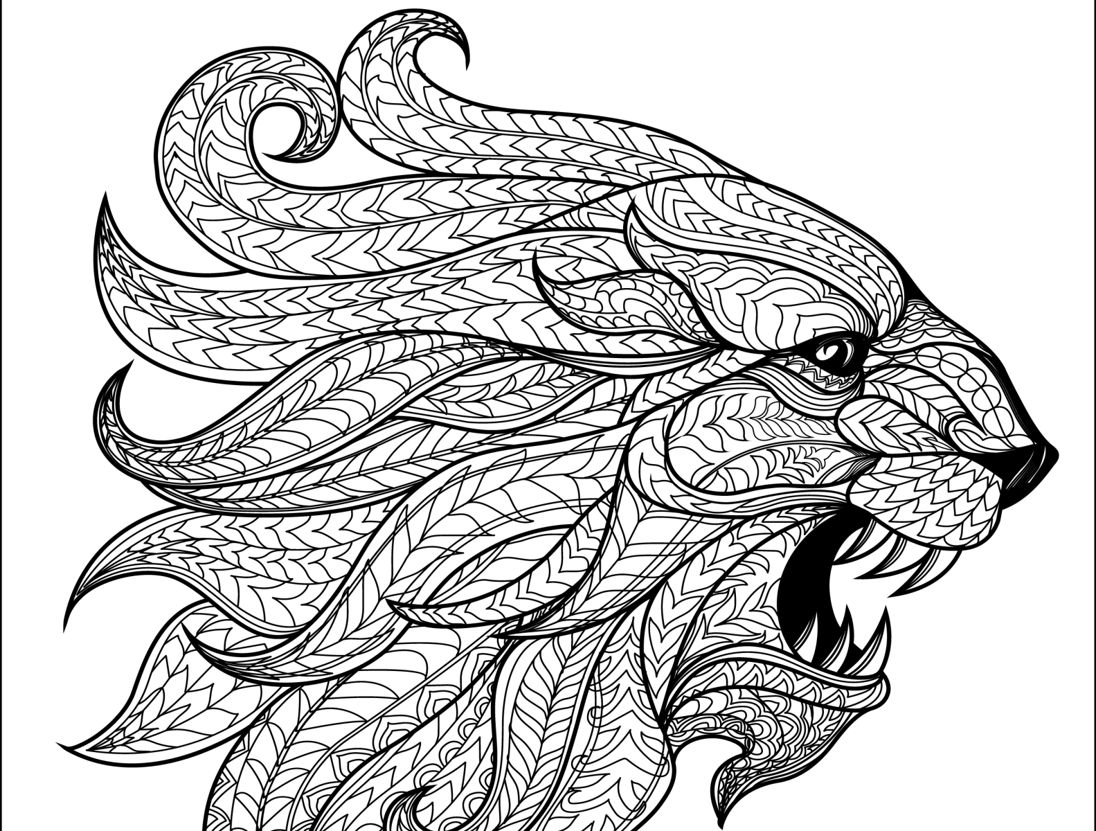 Animals Coloring book pages 1 by dr anarul islam on Dribbble