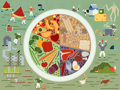 MyPlate art color draw healthy diet illustration myplate vector