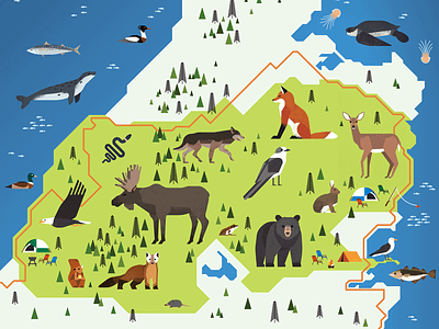 Cape Breton Highlands animal animals camp camping color illustration nature poster