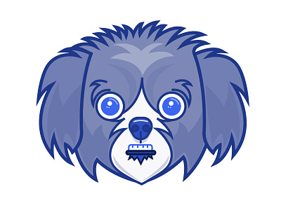 Buster Boy dog icon illustration overbite puppy shih tzu vector