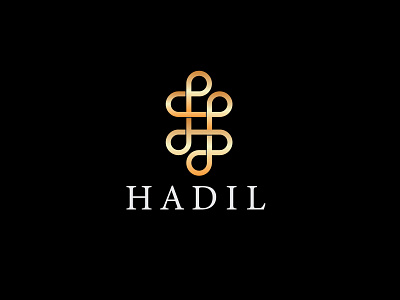 Hadil logo abstract abstract logo abstractlogo creative logo h logo logo logo design logo designer logodesign modern logo monogram logo