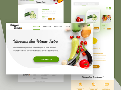 Greengrocer | Web Design branding greengrocer grocery illustrator logo ui webdesign xd